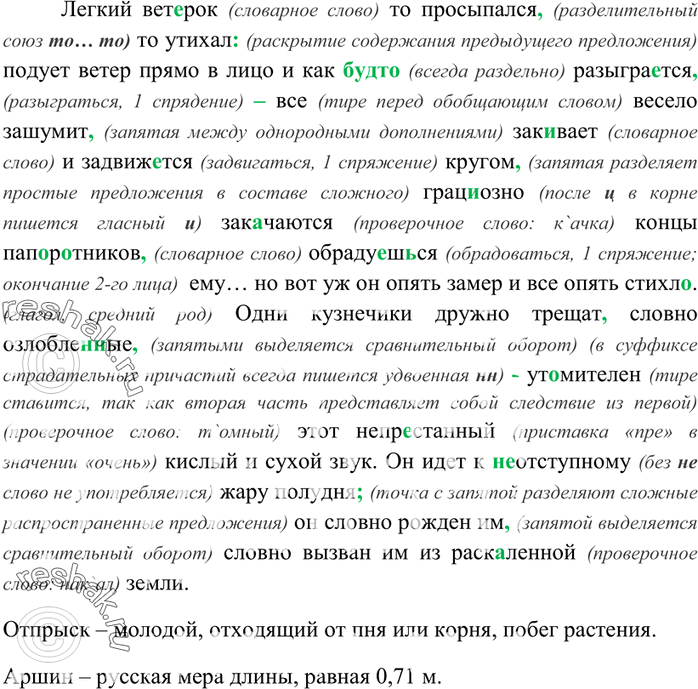 Дополнительное изображение